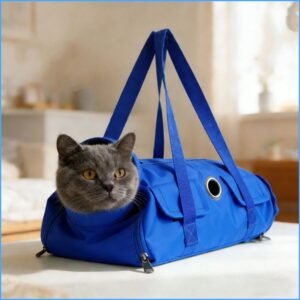 Home img 20260129 122810